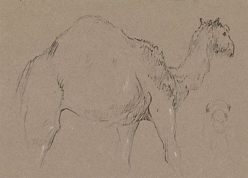 A Camel Moving to the Right; a Sketch of a Camel's Head, Bottom Right, 1850, George Jones