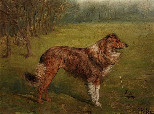 'Tess', Portrait of a Dog, 1910, George Paice