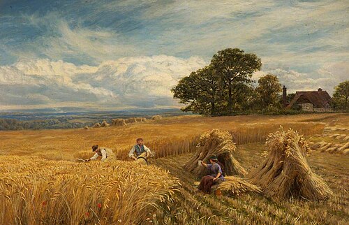 A Surrey Cornfield, 1864, George Vicat Cole
