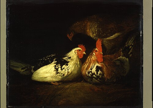 Haan met kippen, 1630, Jacob Cuyp