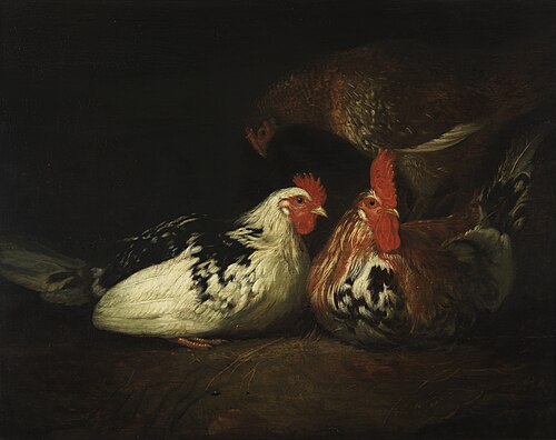 Haan met kippen, , Jacob Cuyp