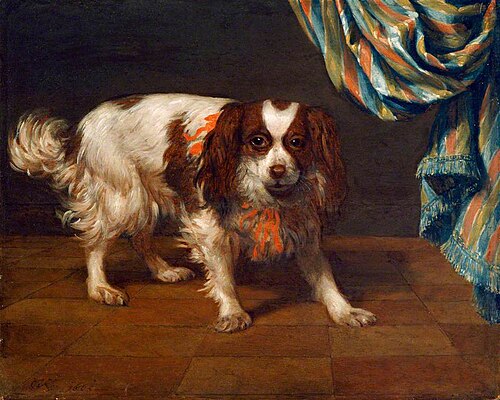 A King Charles Spaniel, 1665, Gerard van Kuijl