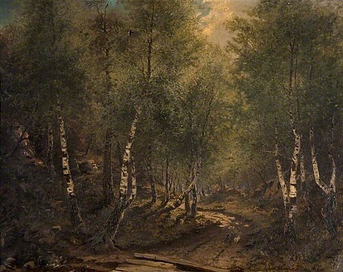 Woody Landscape, , Alexis Ankarcrona