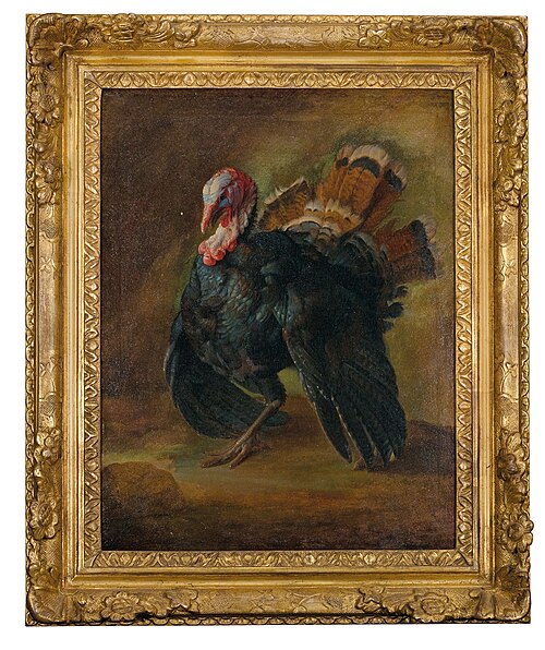 Two turkeys, , Giorgio Durante