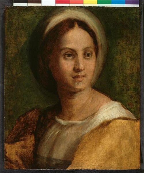 Portrait d'une jeune femme, , Andrea del Sarto