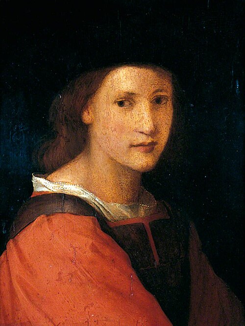 Portrait of a Youth, , Andrea del Sarto