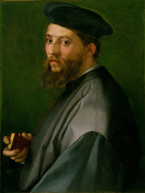Portrait d'homme, 1550, Andrea del Sarto