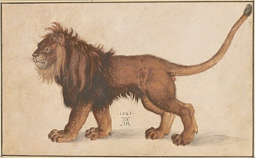 Lion, 1500, Albrecht Dürer