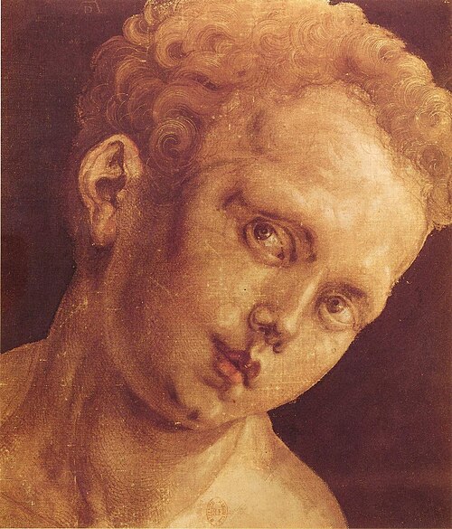 Knabenkopf nach rechts geneigt, 1503, Albrecht Dürer