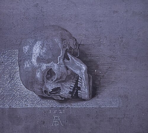 Totenschädel., 1521, Albrecht Dürer