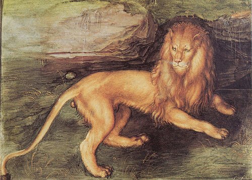 Lion, 1494, Albrecht Dürer