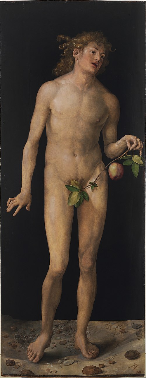 Adam, 1507, Albrecht Dürer
