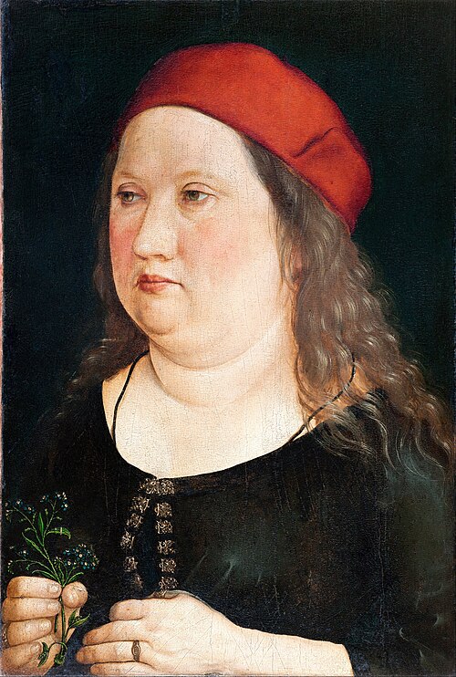 Portrait of a man, 1497, Albrecht Dürer