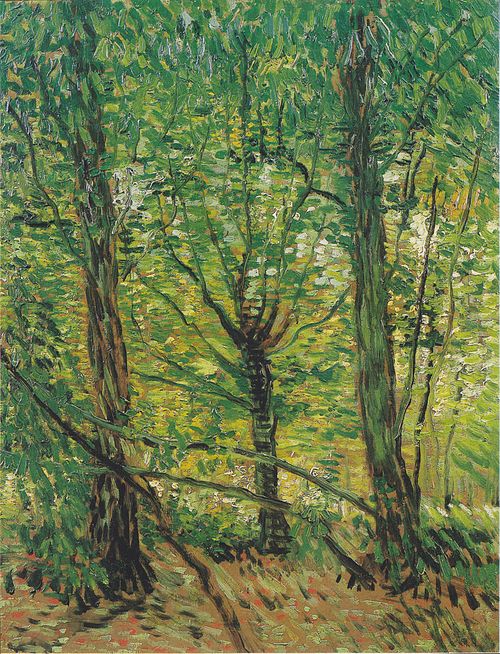 Drzewa i poszycie, , Vincent van Gogh