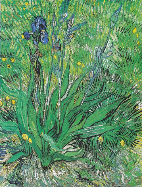 Iris, 1889, Vincent van Gogh
