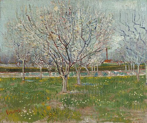Orchard in Blossom, 1888, Vincent van Gogh