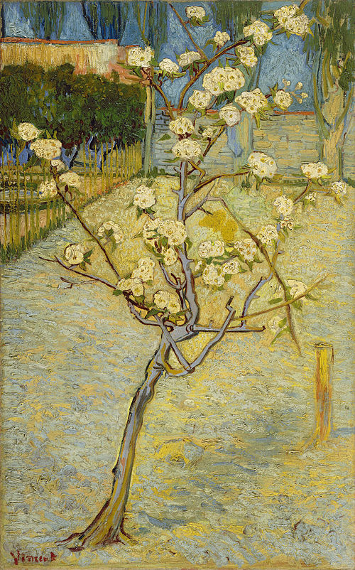 Small pear tree in blossom, 1888, Vincent van Gogh