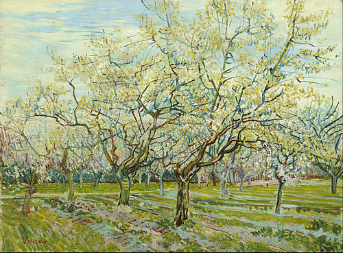 The white orchard, 1888, Vincent van Gogh