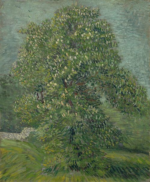 Horse Chestnut Tree in Blossom, 1887, Vincent van Gogh