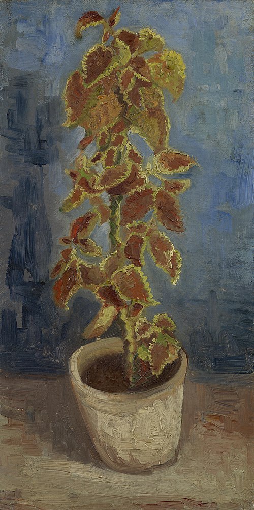 Flame Nettle in a Flowerpot, 1886, Vincent van Gogh