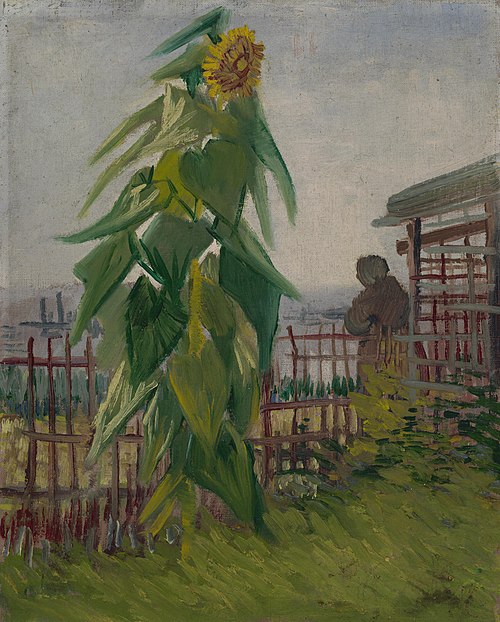 Allotment with Sunflower, 1887, Vincent van Gogh