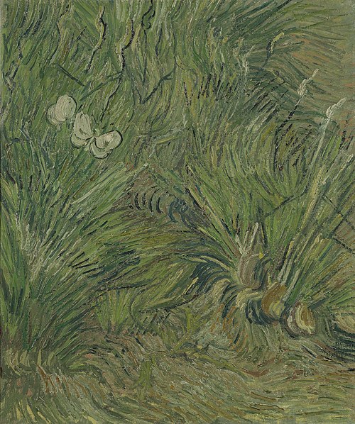 Garden with Butterflies, 1890, Vincent van Gogh