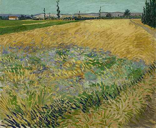 Wheatfield, 1888, Vincent van Gogh