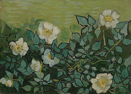 Wild Roses, 1889, Vincent van Gogh