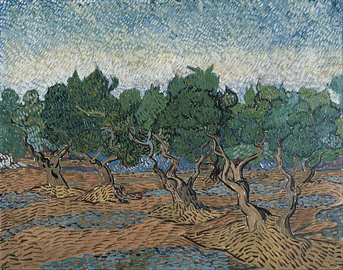 Olive Grove, 1889, Vincent van Gogh