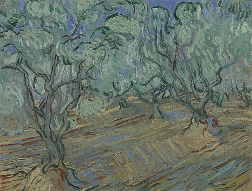 Olive Grove, 1889, Vincent van Gogh