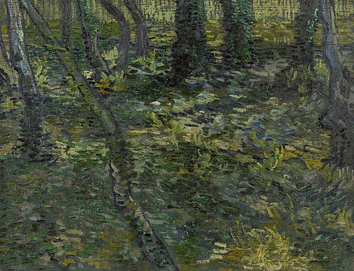 Undergrowth, 1889, Vincent van Gogh