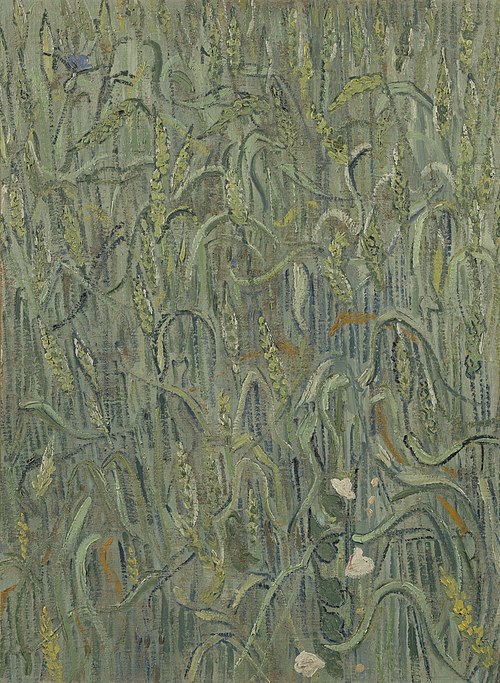 Ears of Wheat, 1890, Vincent van Gogh