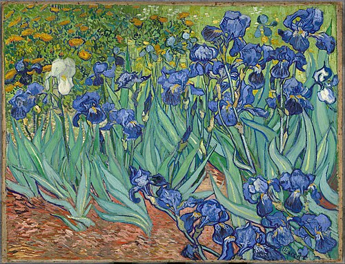 Iris, 1889, Vincent van Gogh