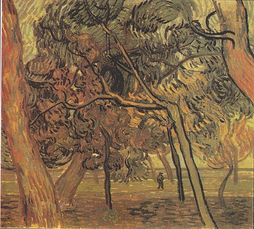 Pins dans le jardin de l'asile, 1889, Vincent van Gogh