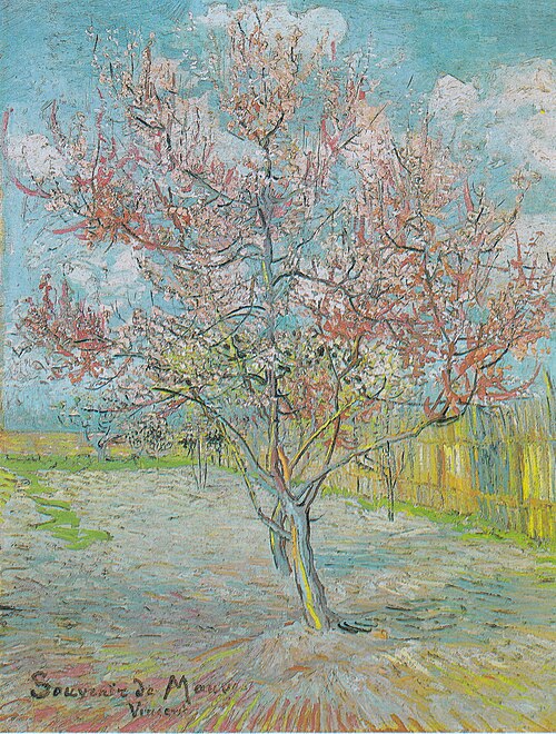 Souvenir de Mauve, 1888, Vincent van Gogh