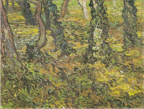 Tree Trunks with Ivy, 1889, Vincent van Gogh