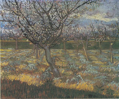 Apricot Trees in Blossom, 1888, Vincent van Gogh