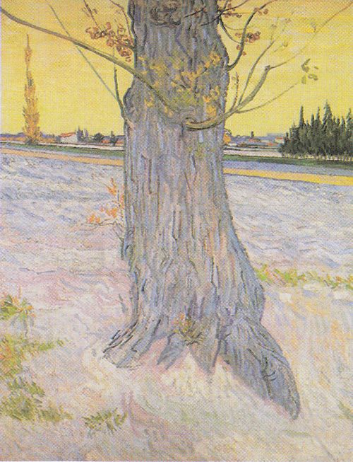 Trunk of an Old Yew Tree, 1888, Vincent van Gogh