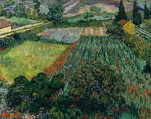 Field with Poppies, 1889, Vincent van Gogh