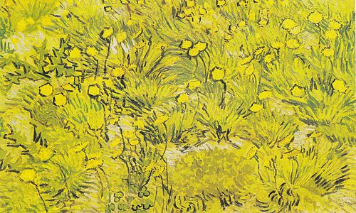 Meadow with yellow flowers, 1889, Vincent van Gogh
