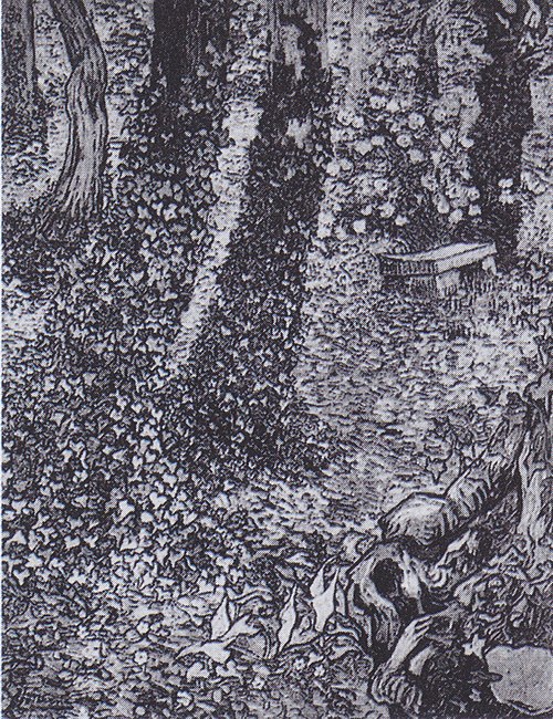 Corner in the Garden of Saint-Paul Hospital, A, 1889, Vincent van Gogh