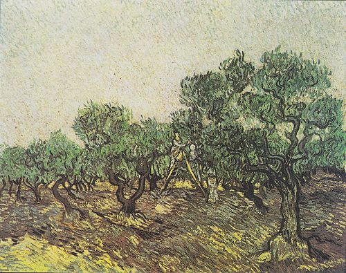 Olive Picking, 1889, Vincent van Gogh