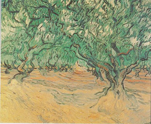 Olive Trees, 1889, Vincent van Gogh