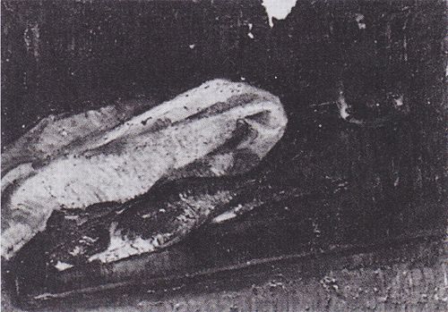 Still Life with Two Herrings, a Cloth and a Glass, 1886, Vincent van Gogh