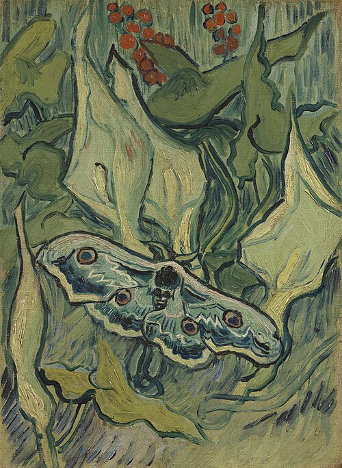 Grand Paon de nuit, 1889, Vincent van Gogh