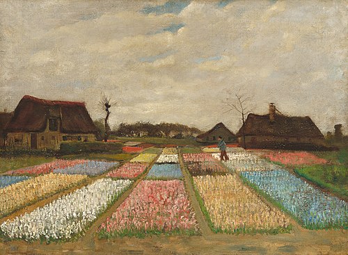 Champs de fleurs en Hollande, 1883, Vincent van Gogh