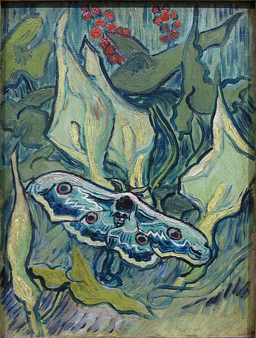Papillons, 1889, Vincent van Gogh