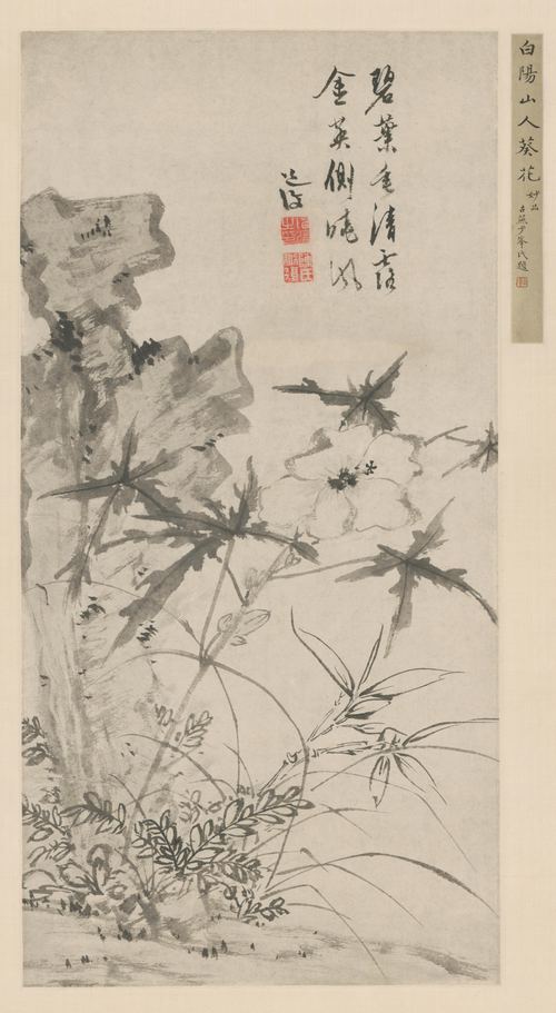 陈道復葵石图轴, , Chen Chun