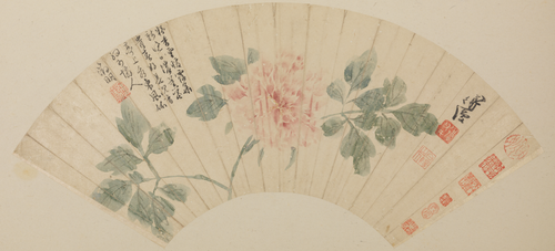 陈淳牡丹图扇, , Chen Chun