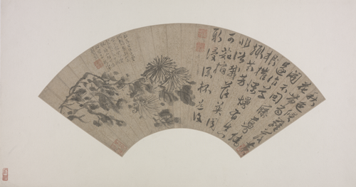陈淳墨菊扇页, , Chen Chun
